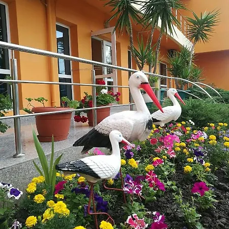 Vila Oranj Pensiune *